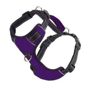 Bay Dog Bay Dog - Purple Harness Small