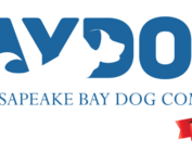 Bay Dog