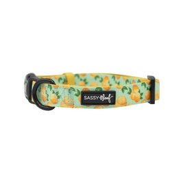 Sassy Woof - Main Squeeze Collar Medium