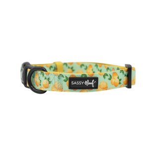 Sassy Woof Sassy Woof - Main Squeeze Collar Small