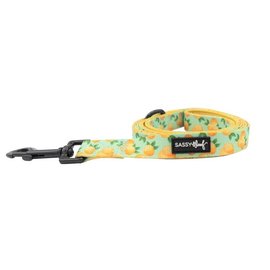Sassy Woof - Main Squeeze Fabric Leash