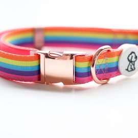 Ripley & Rue - Rainbow Remix Collar Small