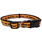 Astros - Rainbow Pet Collar XLarge