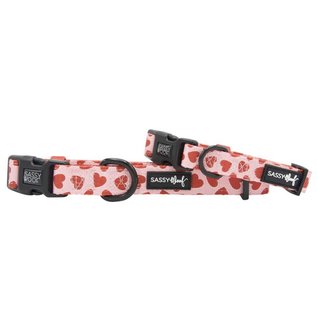 Sassy Woof - Love at First Bark Collar Small