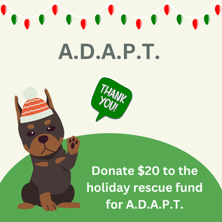 ADAPT Donation - $20