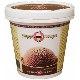 Puppy Cake - Carob Ice Cream