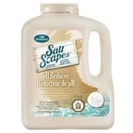 BioGuard SaltScapes® pH Reducer (4 kg)