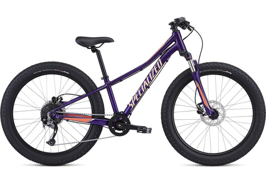 specialized 20 inch riprock