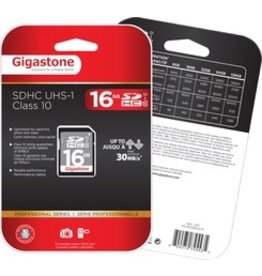 Dane Electric Gigastone Secure Digital HC Card - 16GB