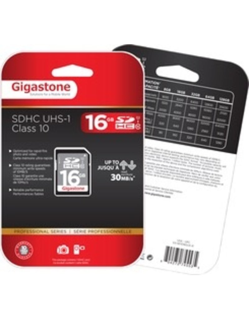 Dane Electric Gigastone Secure Digital HC Card - 16GB