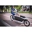 Urban Arrow Family Electric Cargo Bike Performance Motor