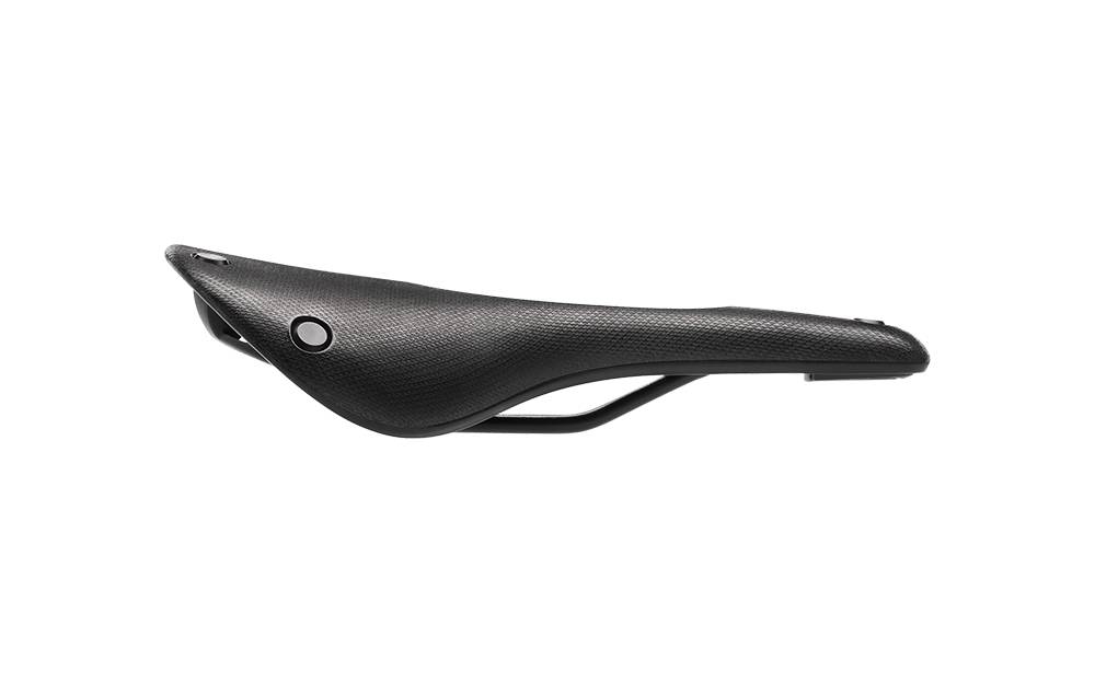 brooks cambium c15 all weather carved