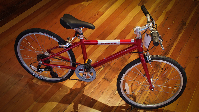 Red Torker Interurban Kids' Bike