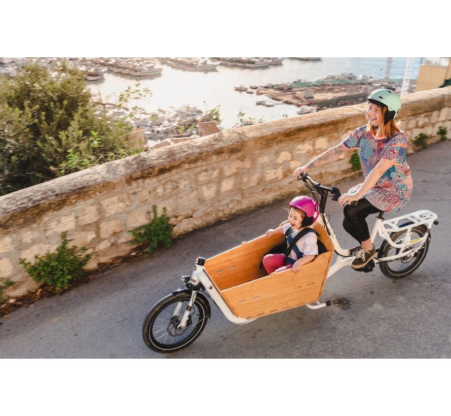 Yuba Electric Supermarché Front Loader Cargo Bike