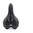 Selle Royal Lookin Saddle