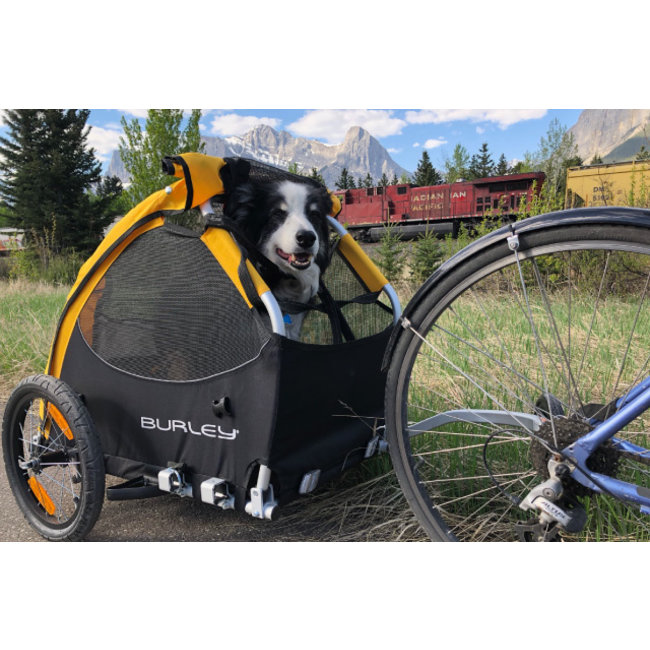 Burley Tail Wagon Pet / Cargo Trailer Clever Cycles Portland Ebike