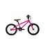 Cleary Hedgehog Single-Speed 16-Inch Kids' Bike