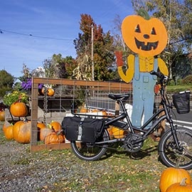 Tern HSD Electric Cargo Bike