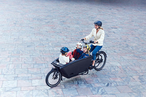 Urban Arrow Family cargo bike