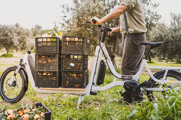 Yuba Cargo Bikes - Quick Release (For Bread Basket)