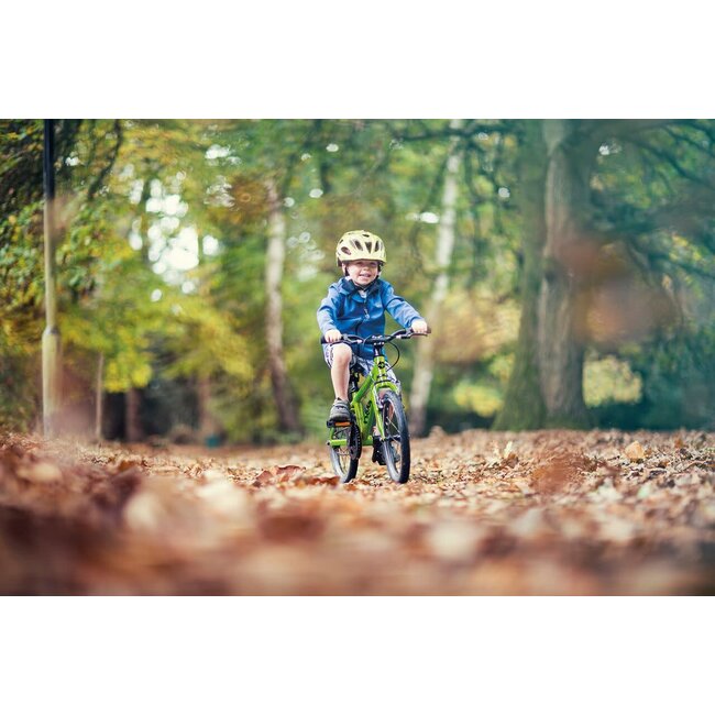 Frog 44 Single-Speed 16-Inch Kids' Bike