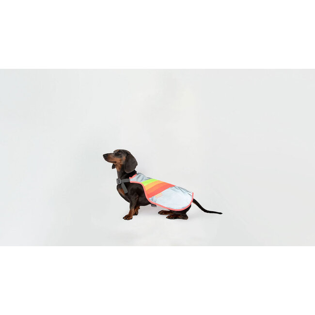 GOFLUO Luna Reflective Dog Vest