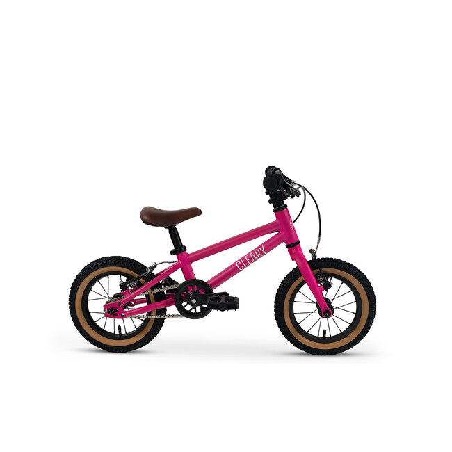 Cleary Gecko Alloy Single-Speed 12-Inch Kids' Bike