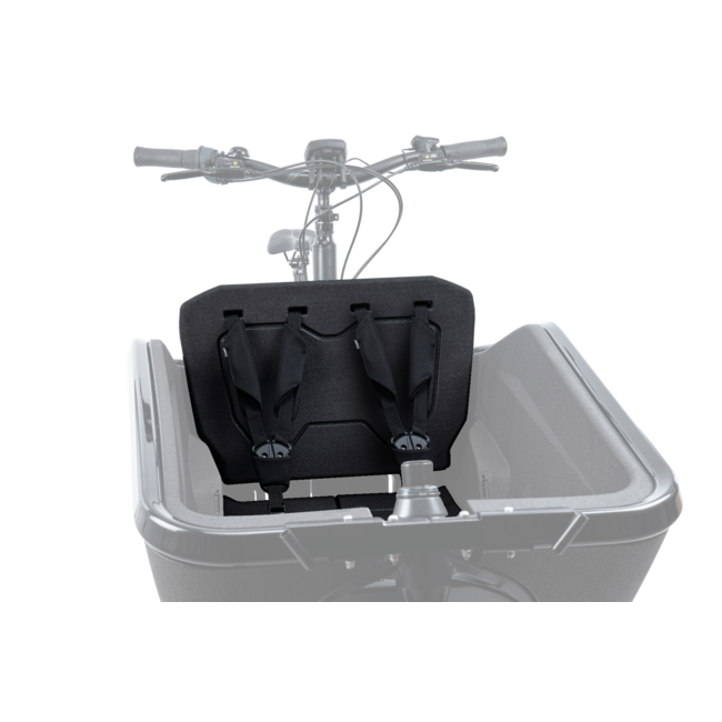 Cube Kids Seat Cargo with Harnesses Clever Cycles Portland Ebike Bicycle Store