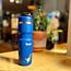 Bivo Trio Insulated Water Bottle - No Internet Dinosaur