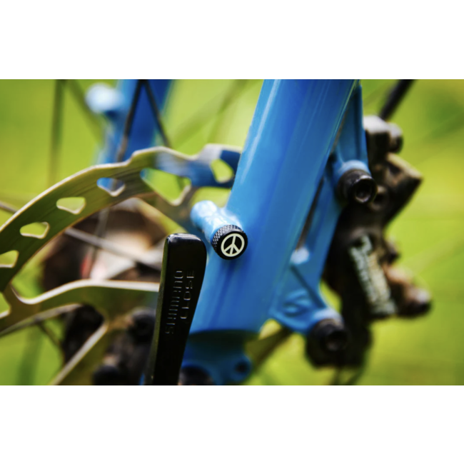 PDW ZitBitz Frame Bolts