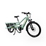 Yuba Spicy Curry Plus Cargo eBike - Bosch Smart System