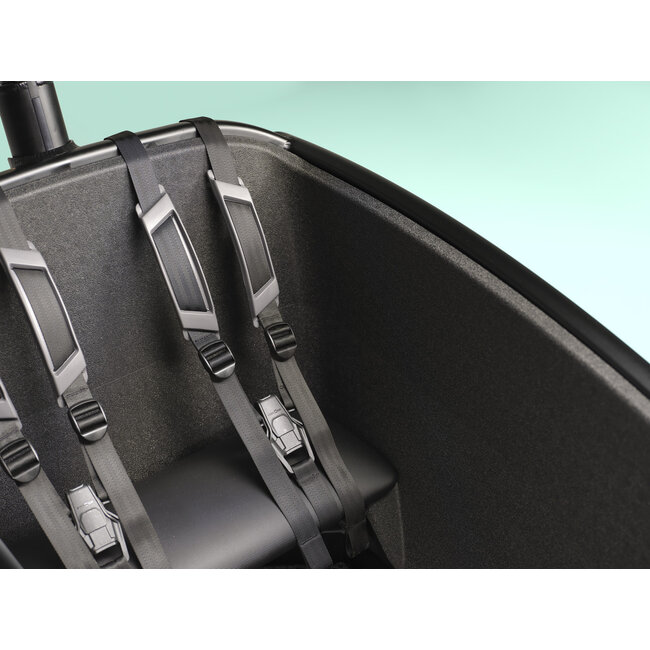 Urban Arrow FamilyNext Pro - Bosch Cargo Line Smart System