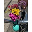 Kikkerland Kikkerland Fiets Bike Vase
