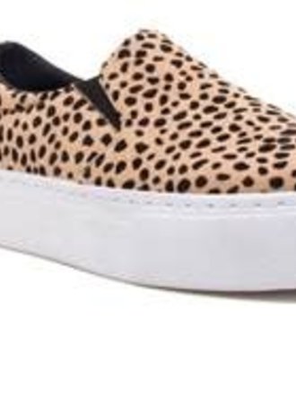 qupid cheetah sneakers