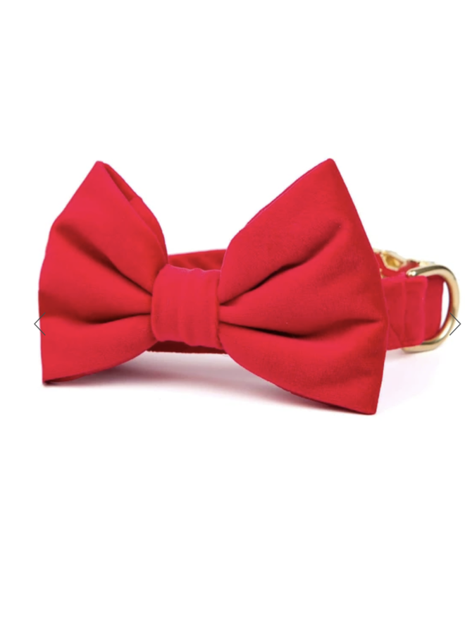 CRANBERRY VELVET BOW TIE COLLAR