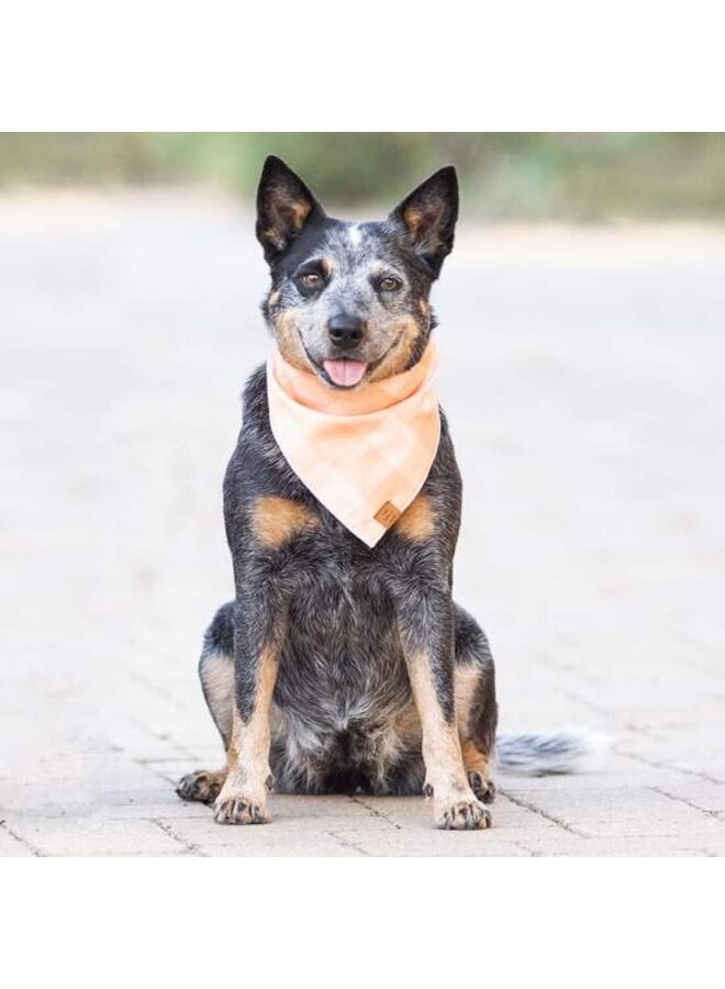 DOG BANDANA