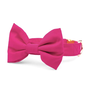 HOT PINK BOW TIE COLLAR