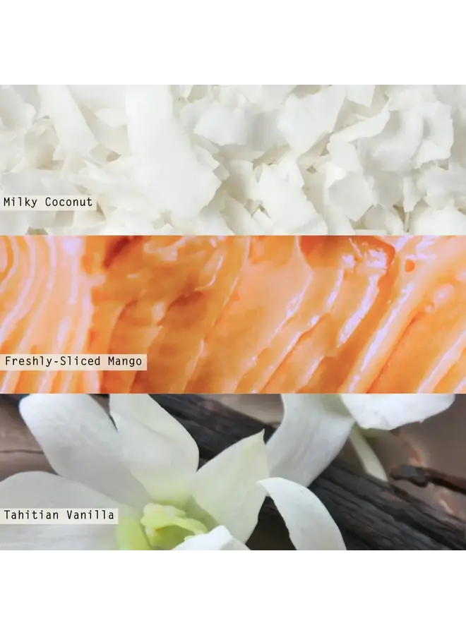 COCONUT MILK MANGO PINK VANITY TIN