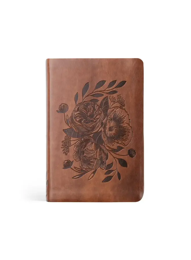 AURORA NLT COMPACT BIBLE