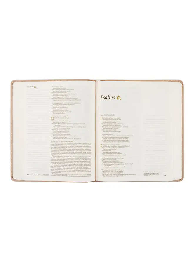 SHILOH NLT NOTETAKING BIBLE
