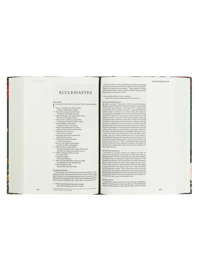 HOLLIS ESV LARGE PRINT JOURNALING BIBLE