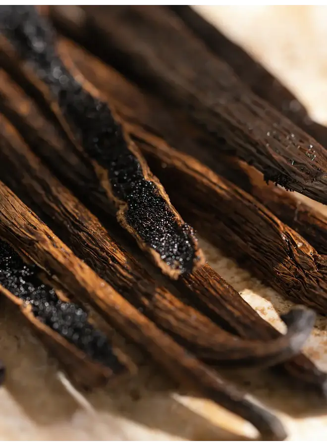 PURA FRAGRANCE REFILL-COZY CASHMERE