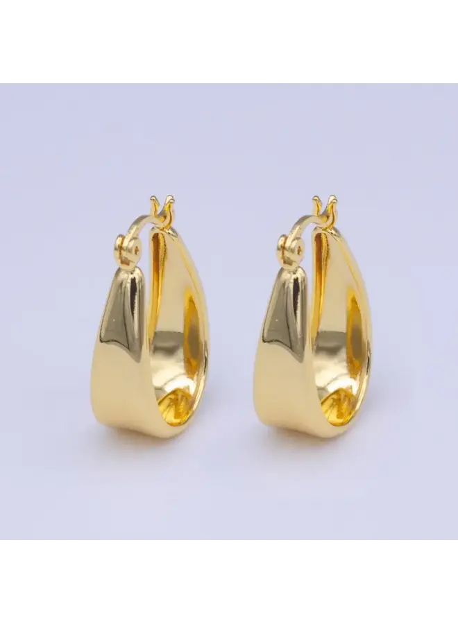 ALEX 24KGF CHUBBY HOOP LATCH EARRINGS