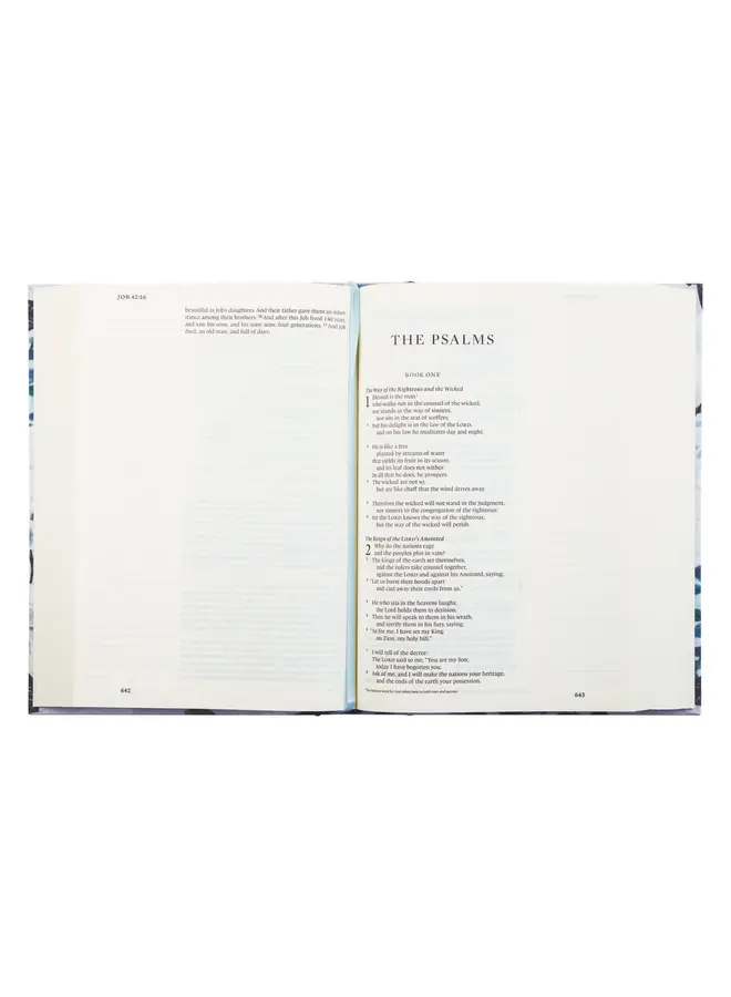VICTORIA ESV LARGE PRINT JOURNALING BIBLE