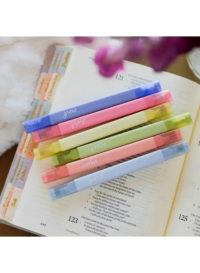 GARDEN HIGHLIGHTERS