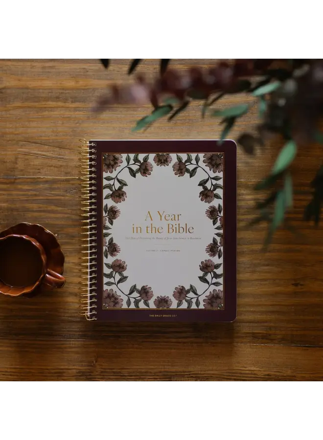 A YEAR IN THE BIBLE - VOLUME 2