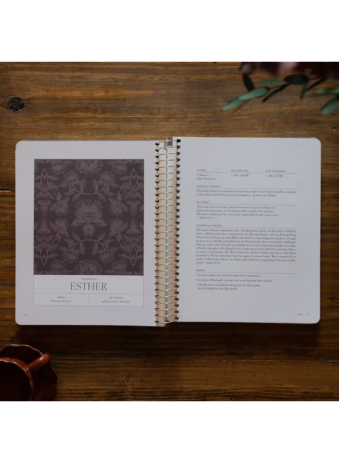 A YEAR IN THE BIBLE - VOLUME 2