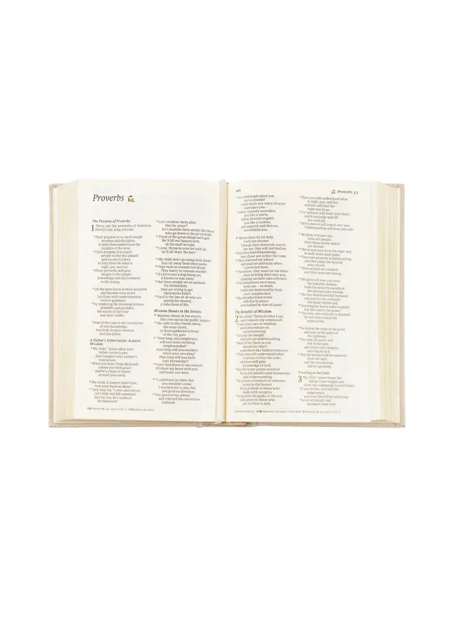 CASABLANCA NLT COMPACT BIBLE