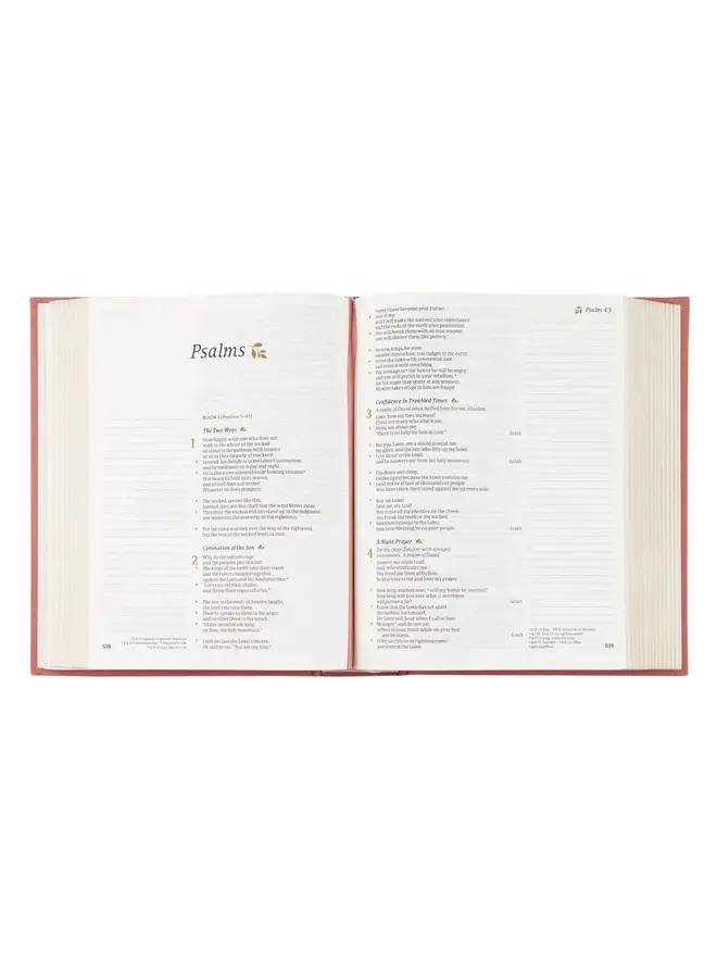 ROSEDAL CSB NOTE TAKING BIBLE