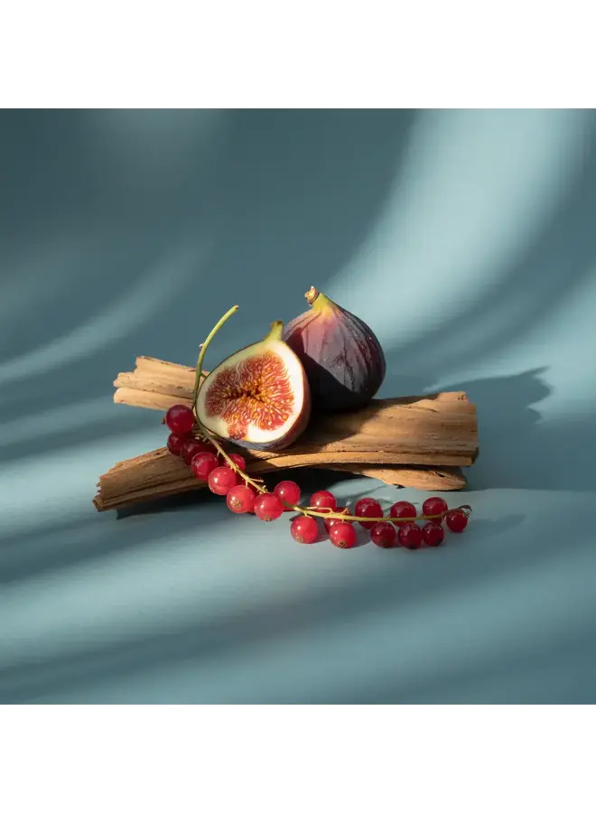 PURA CAR FRAGRANCE REFILL-BROOKLYN CANDLE SANTORINI